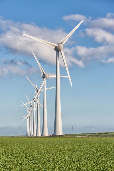 Windfarm in Dutch landscape with large field of sugar beets